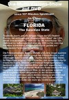 Florida - The Sunshine State